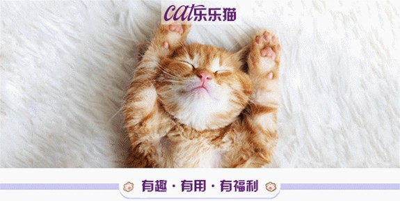 养猫吗？爱钱如命还帮你存钱招财的那种！