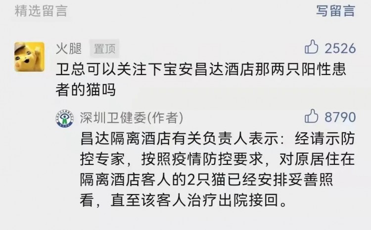 确诊后我的猫就要被人道销毁