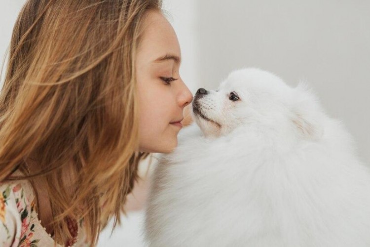 比熊犬新手养狗攻略